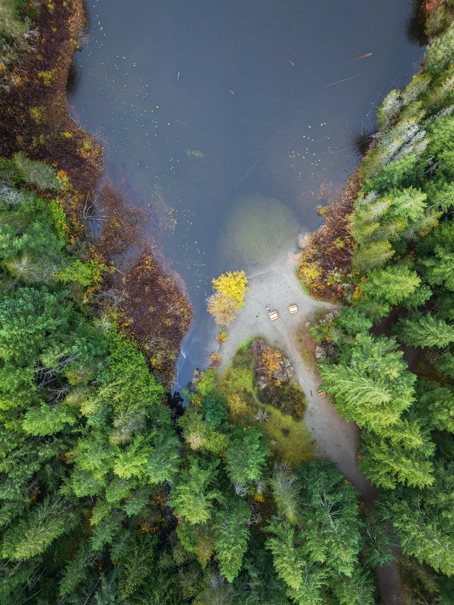 DJI_20251103104859_0413_D.jpg