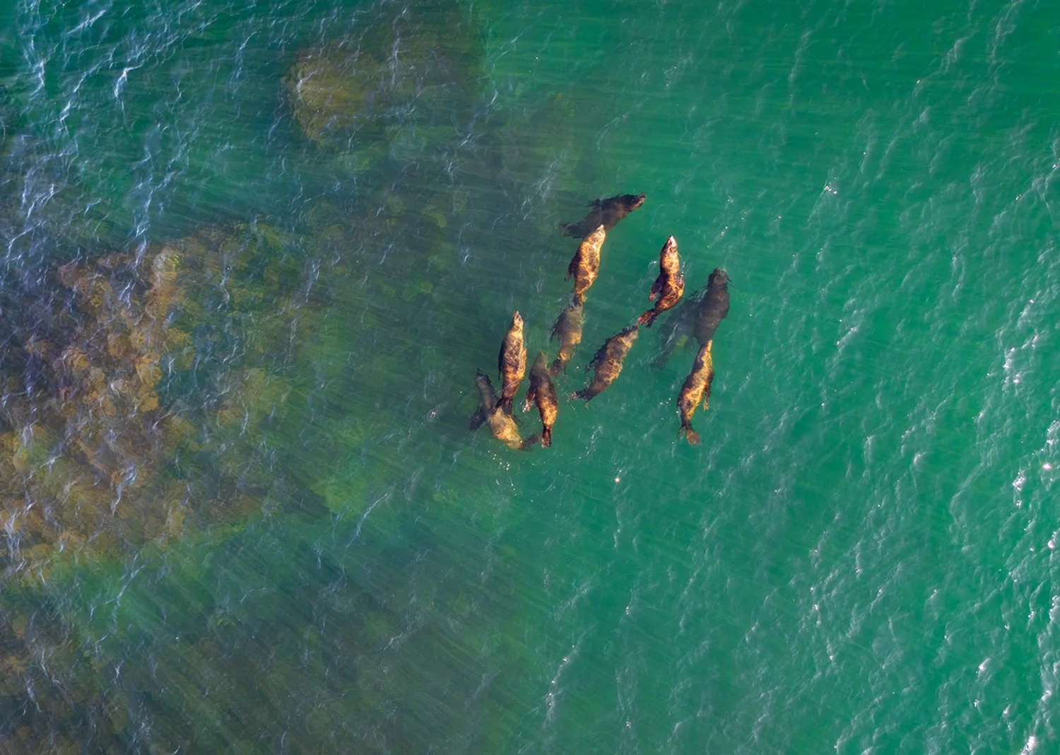 DJI_20260214144707_0015_D.jpg