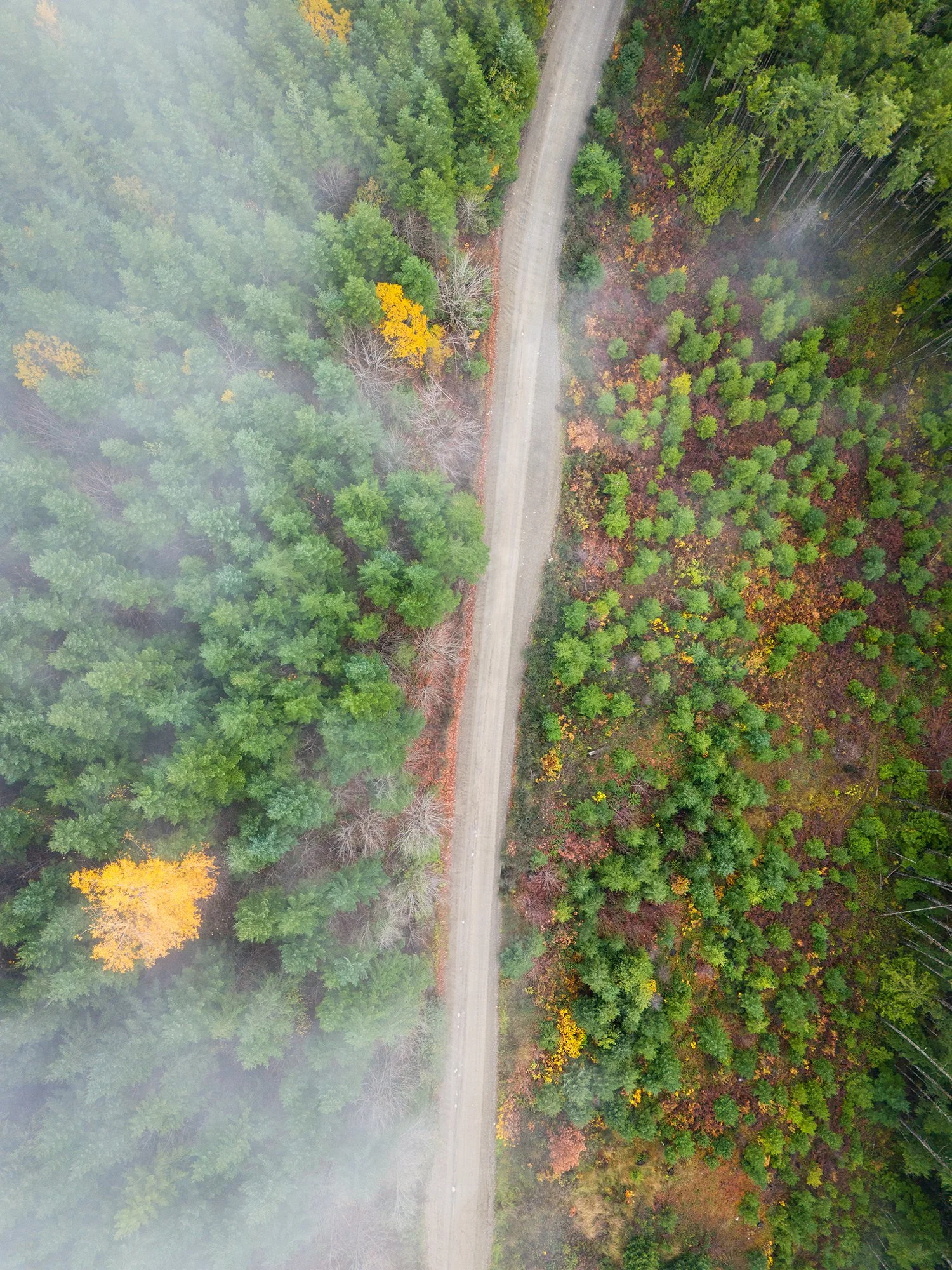 DJI_20241102120446_0374_D.jpg