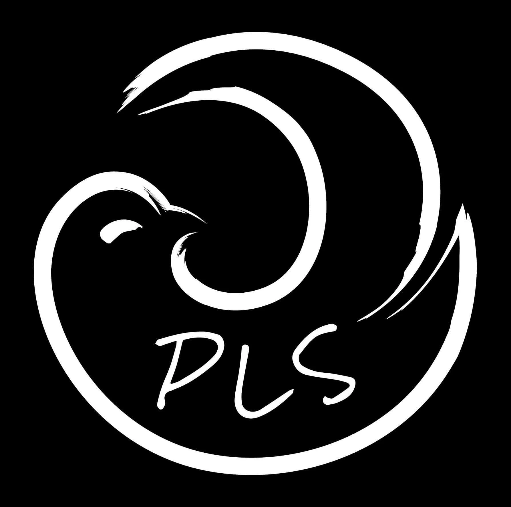 Principled Learning Strategies.jpeg