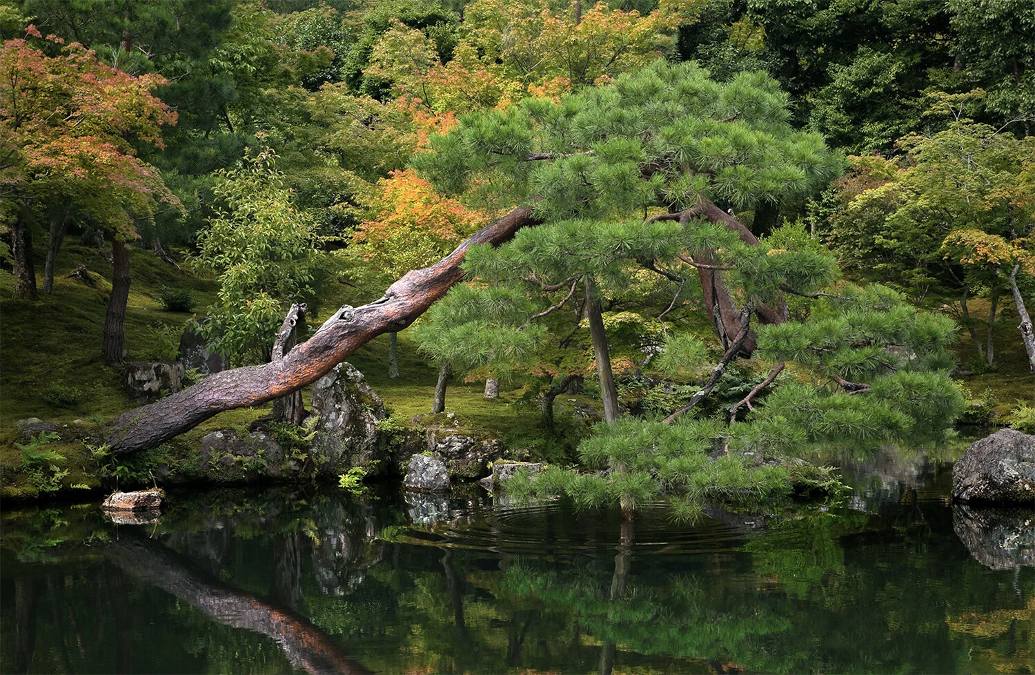 Screen Shot 2019-09-10 at 2.36.45 PM copy.jpg