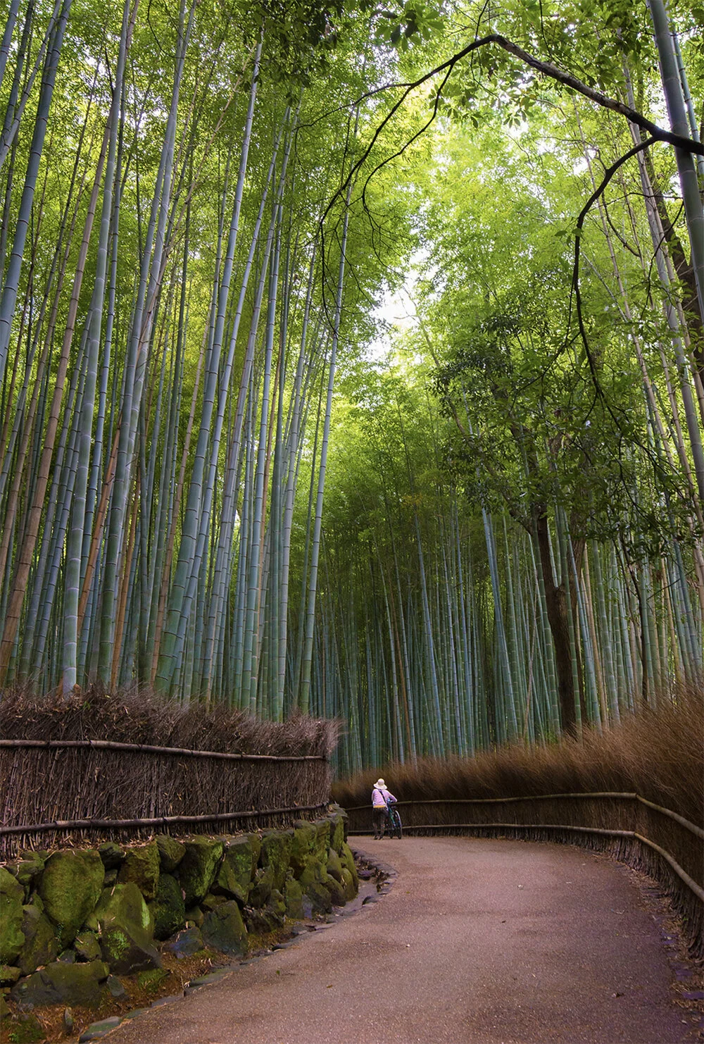 Screen Shot 2019-09-10 at 2.36.53 PM copy.jpg