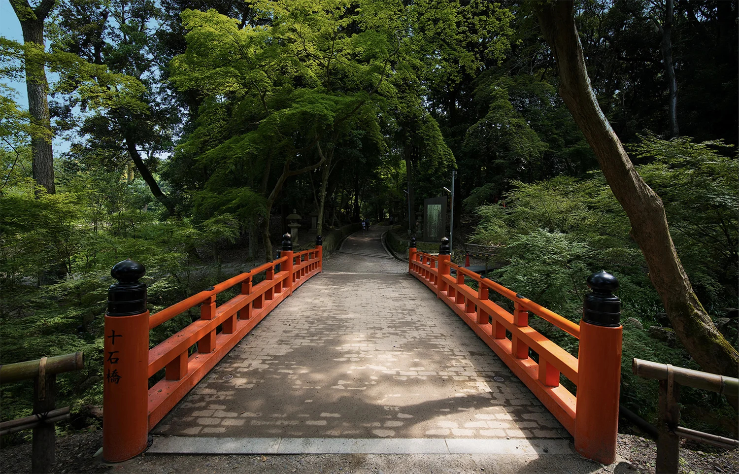 Screen Shot 2019-09-10 at 2.51.28 PM copy.jpg