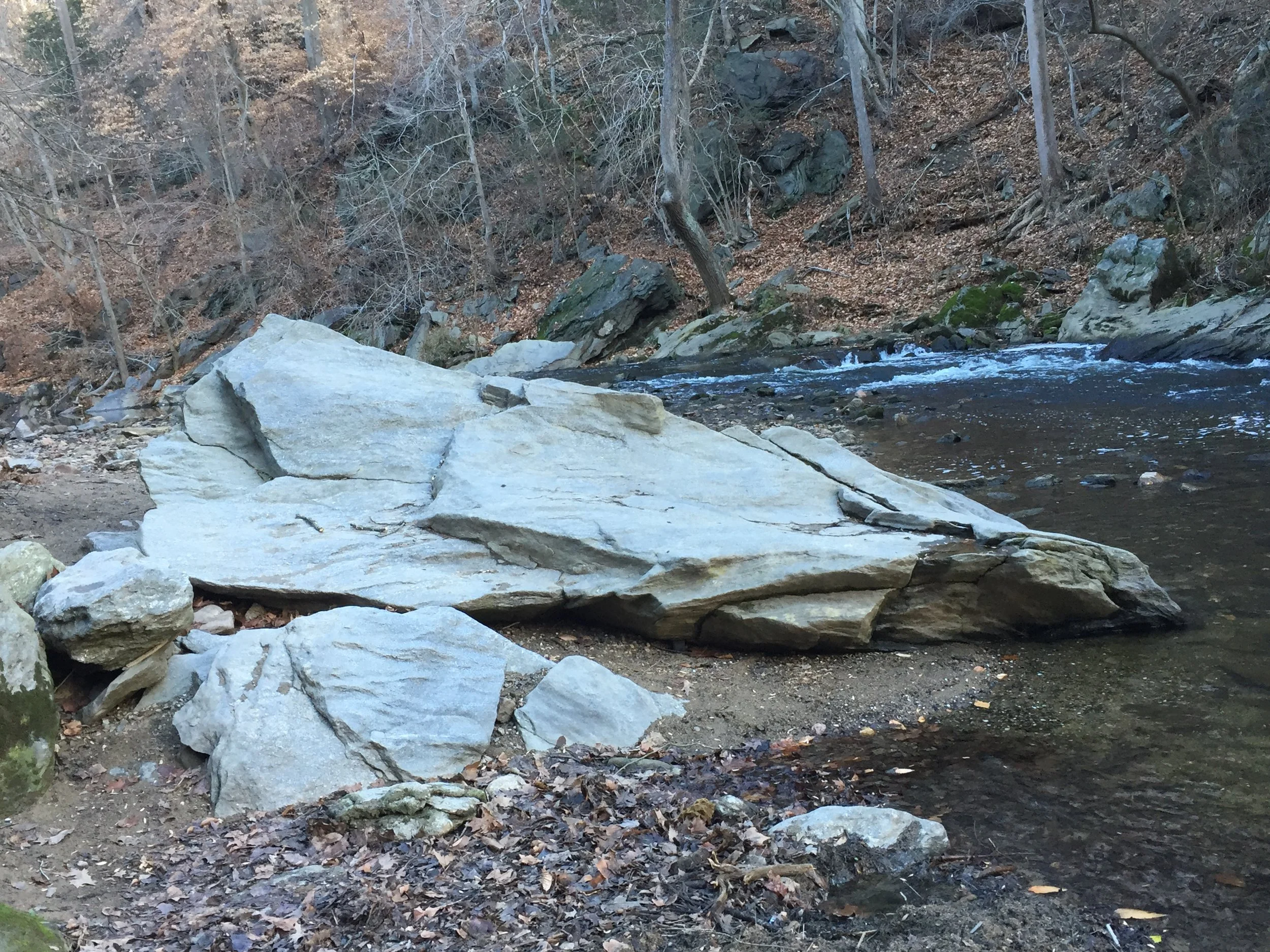 Morning Meditation Sit 12.1.16