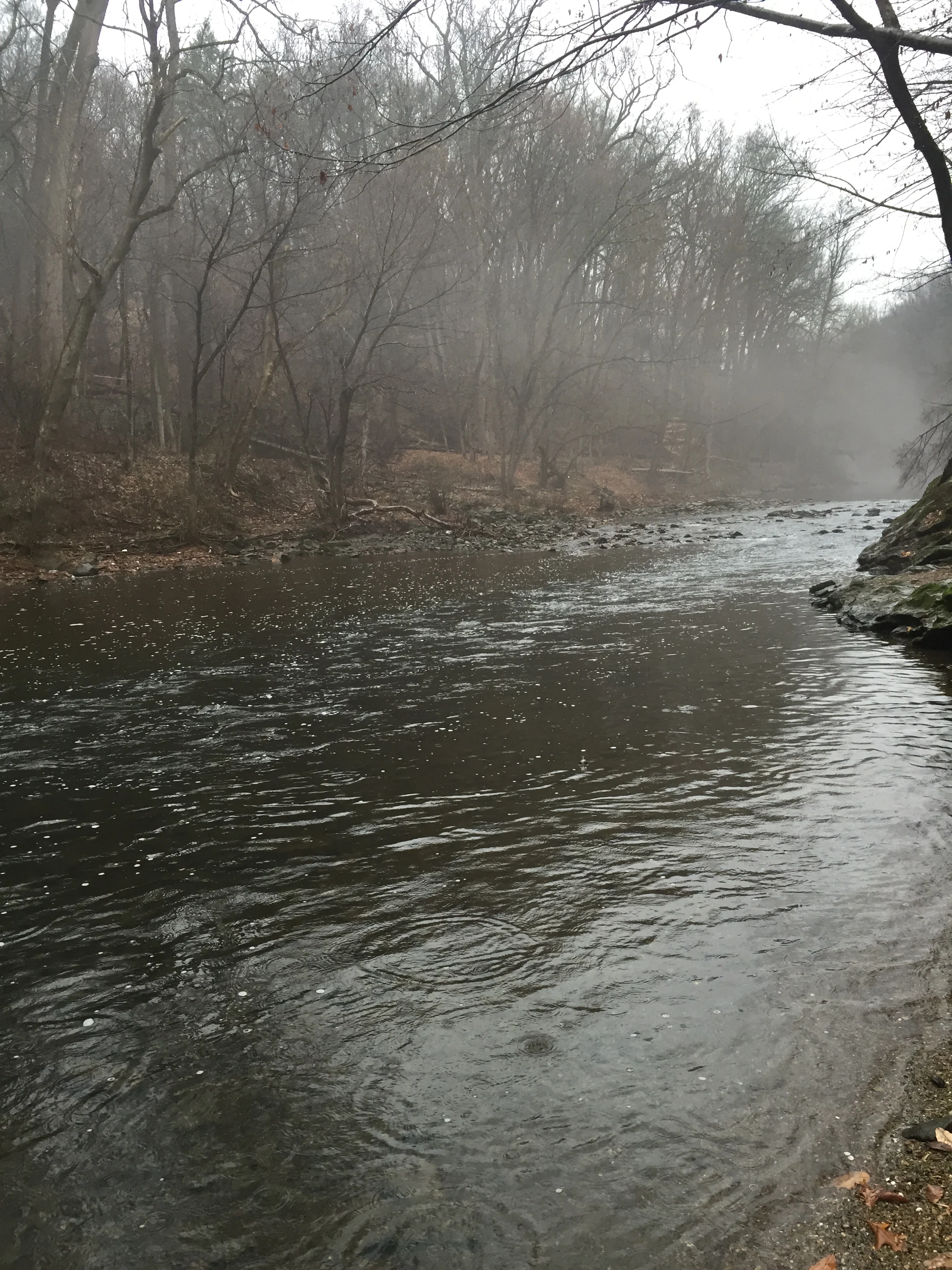 Morning Meditation Sit 12.8.16