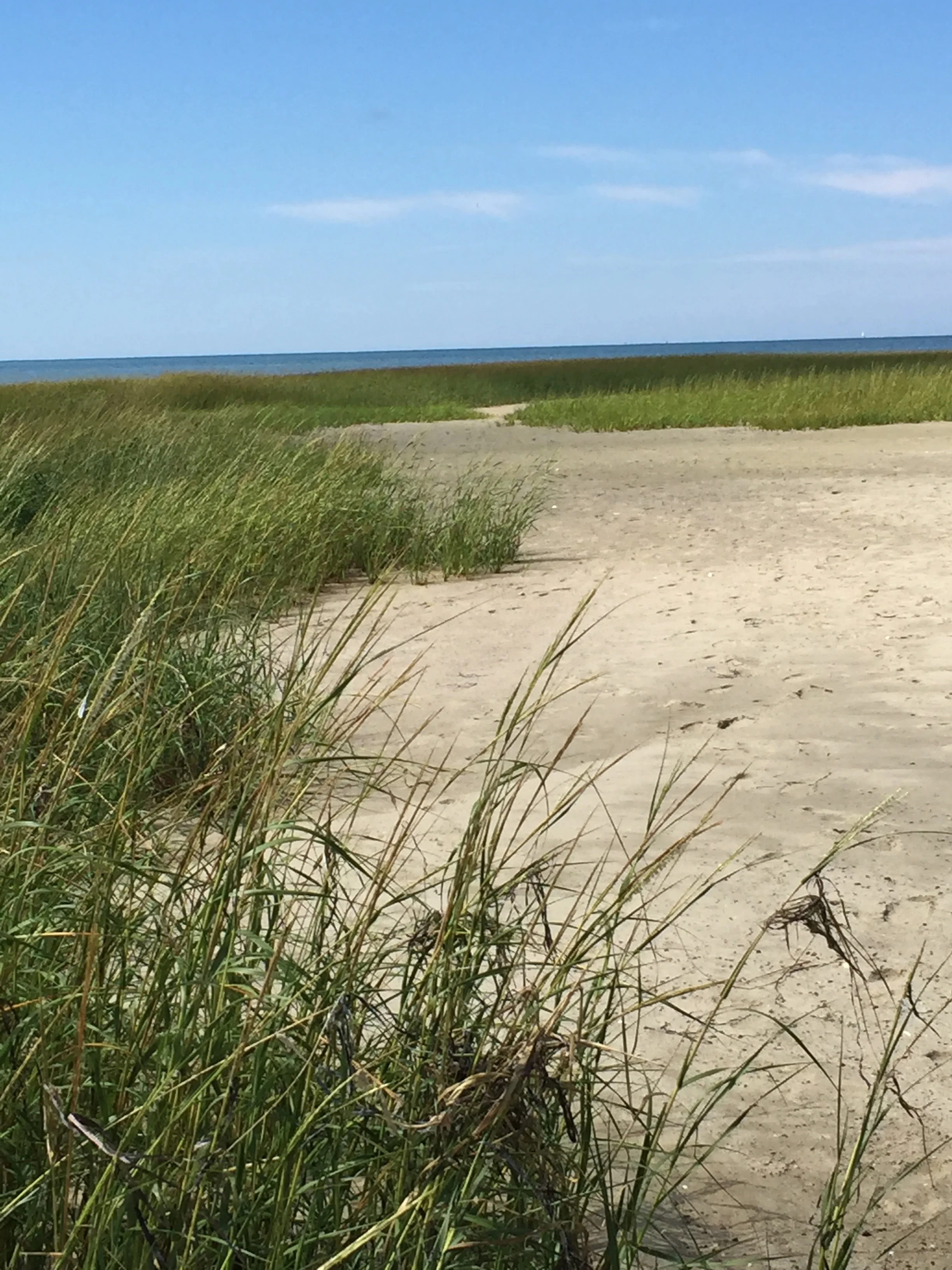 Morning Meditation Sit 02.02.17