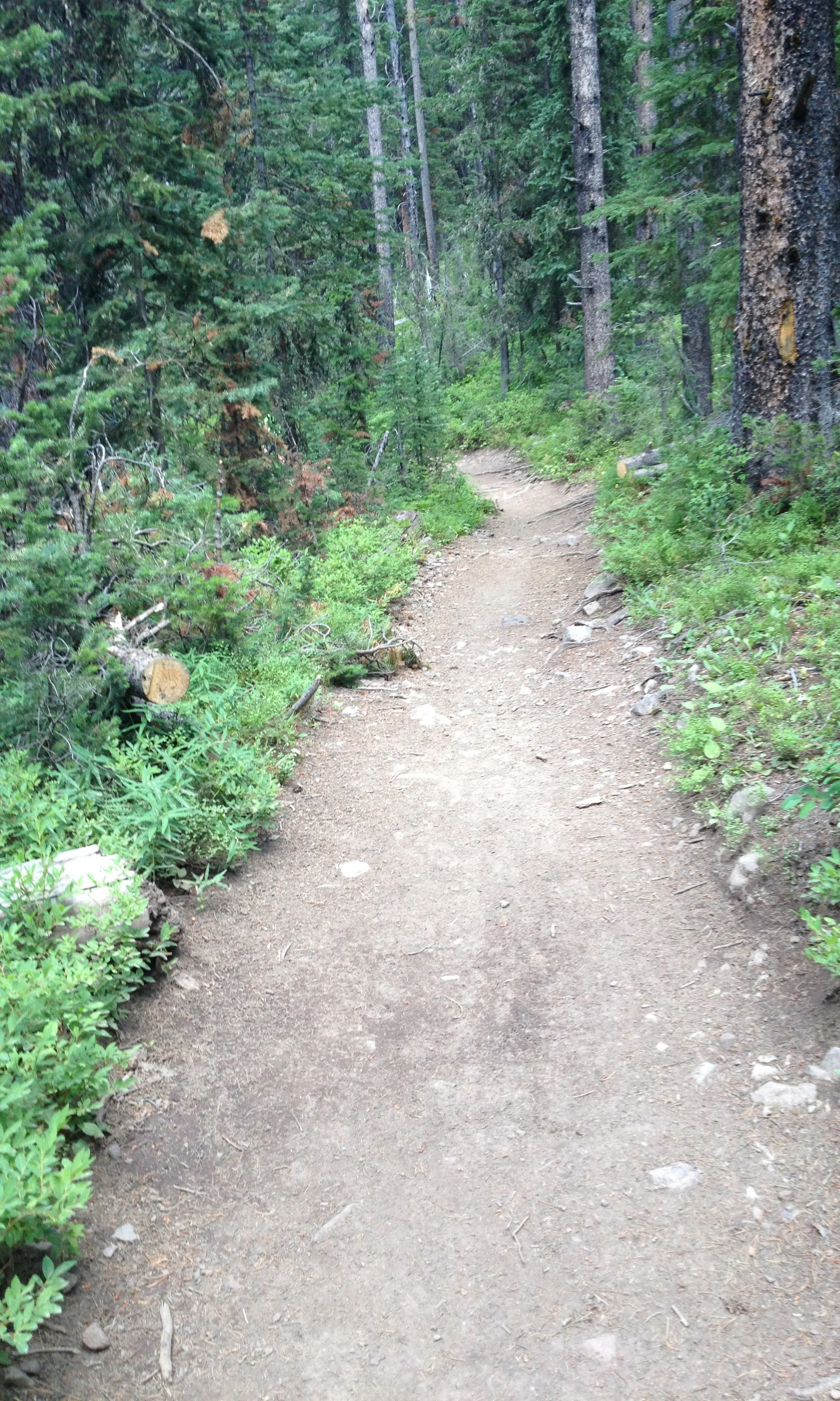 Morning Meditation Sit 03.02.17 PRERECORDED