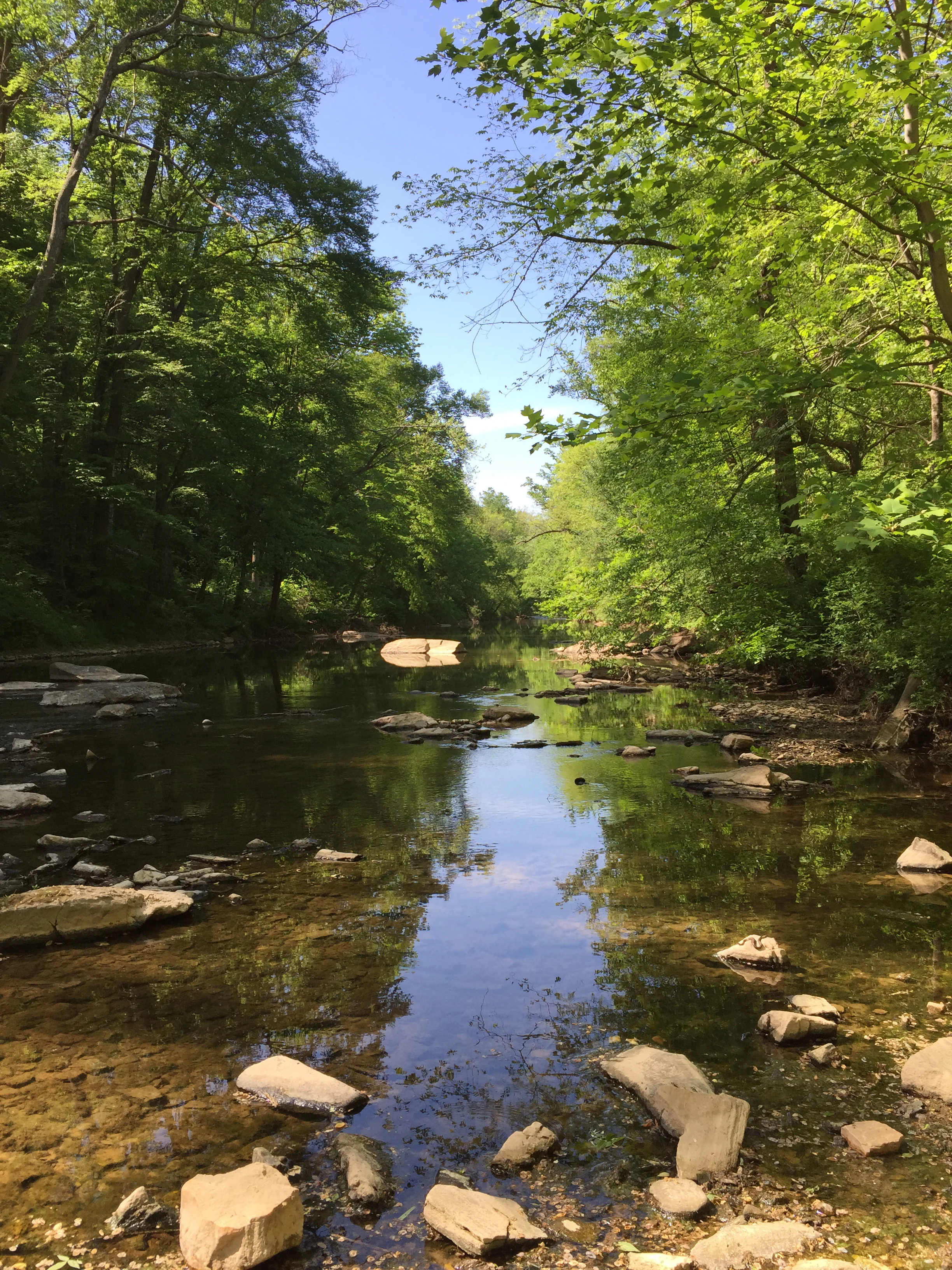 Morning Meditation Sit 02.23.17 