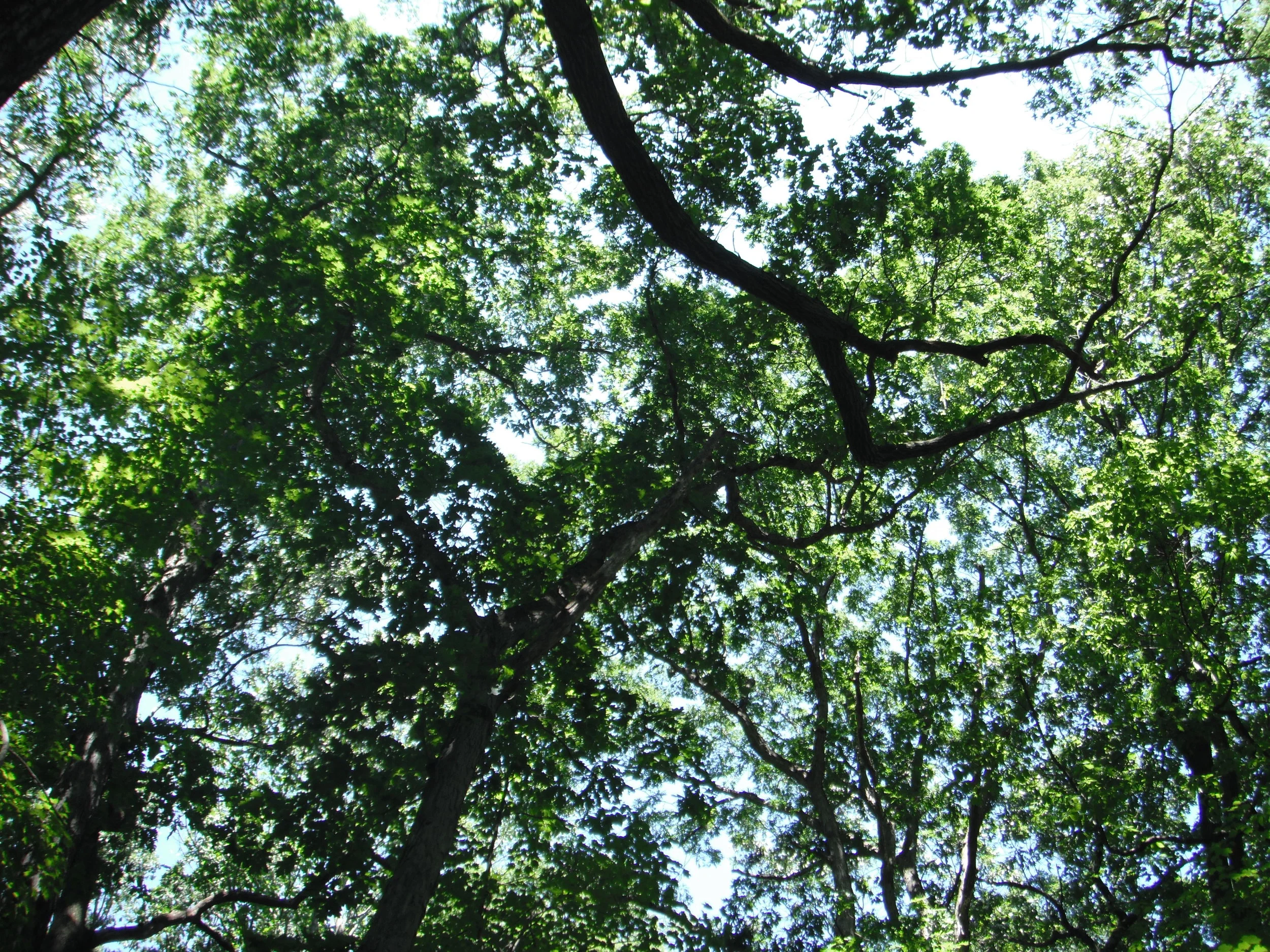 Morning Meditation Sit 03.23.2017