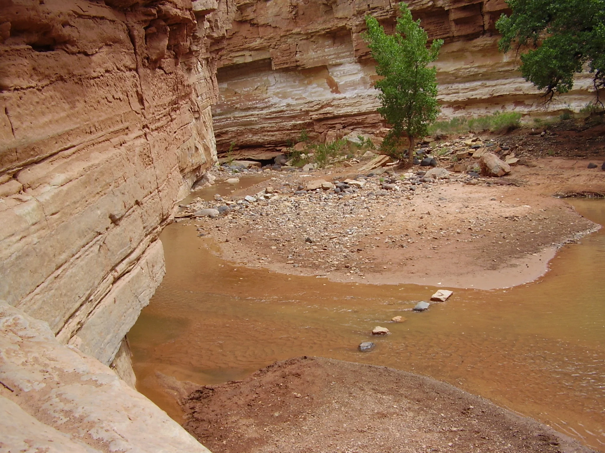 Questions for Reflection 