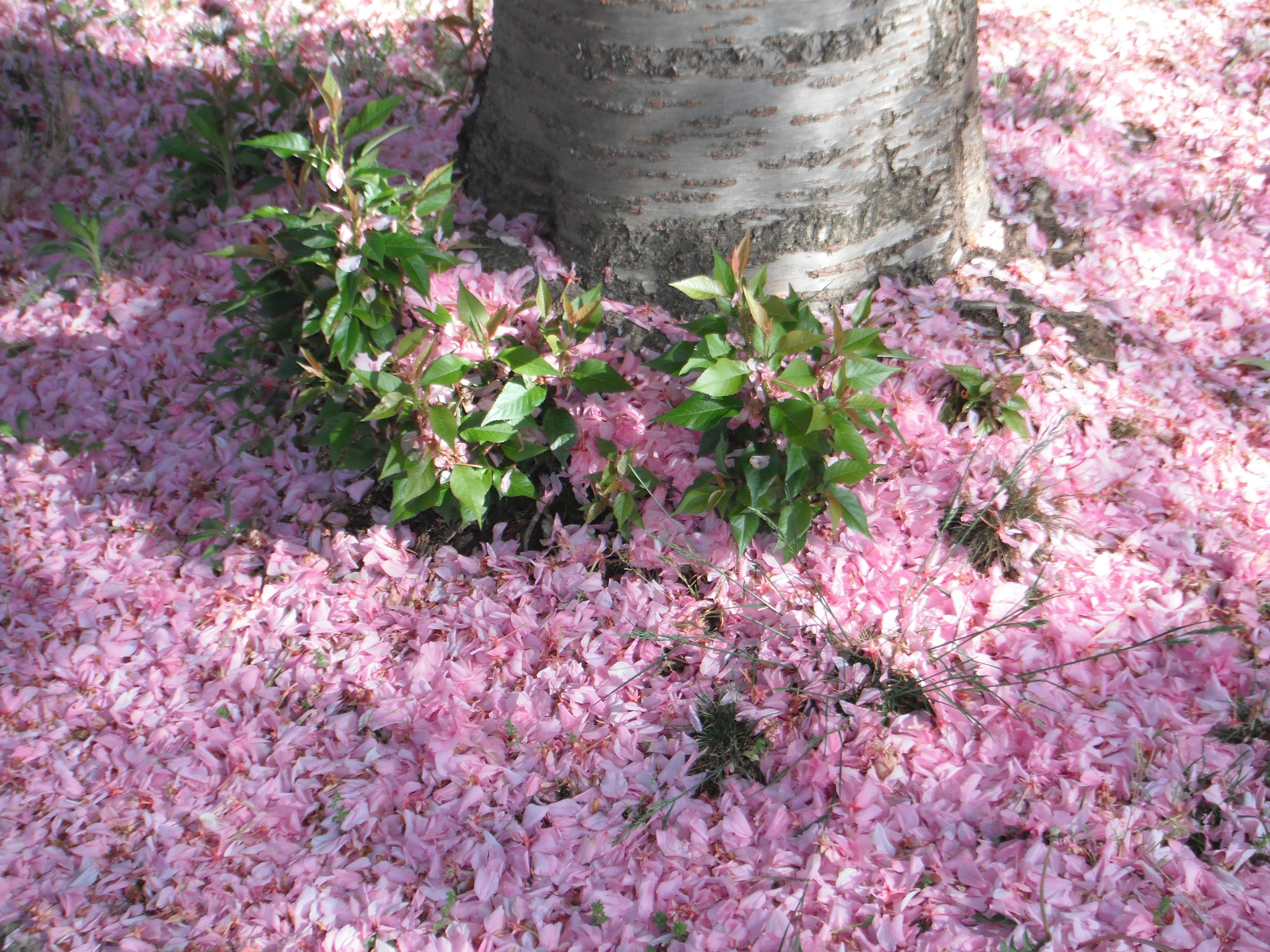 May we Live with Greater Awareness