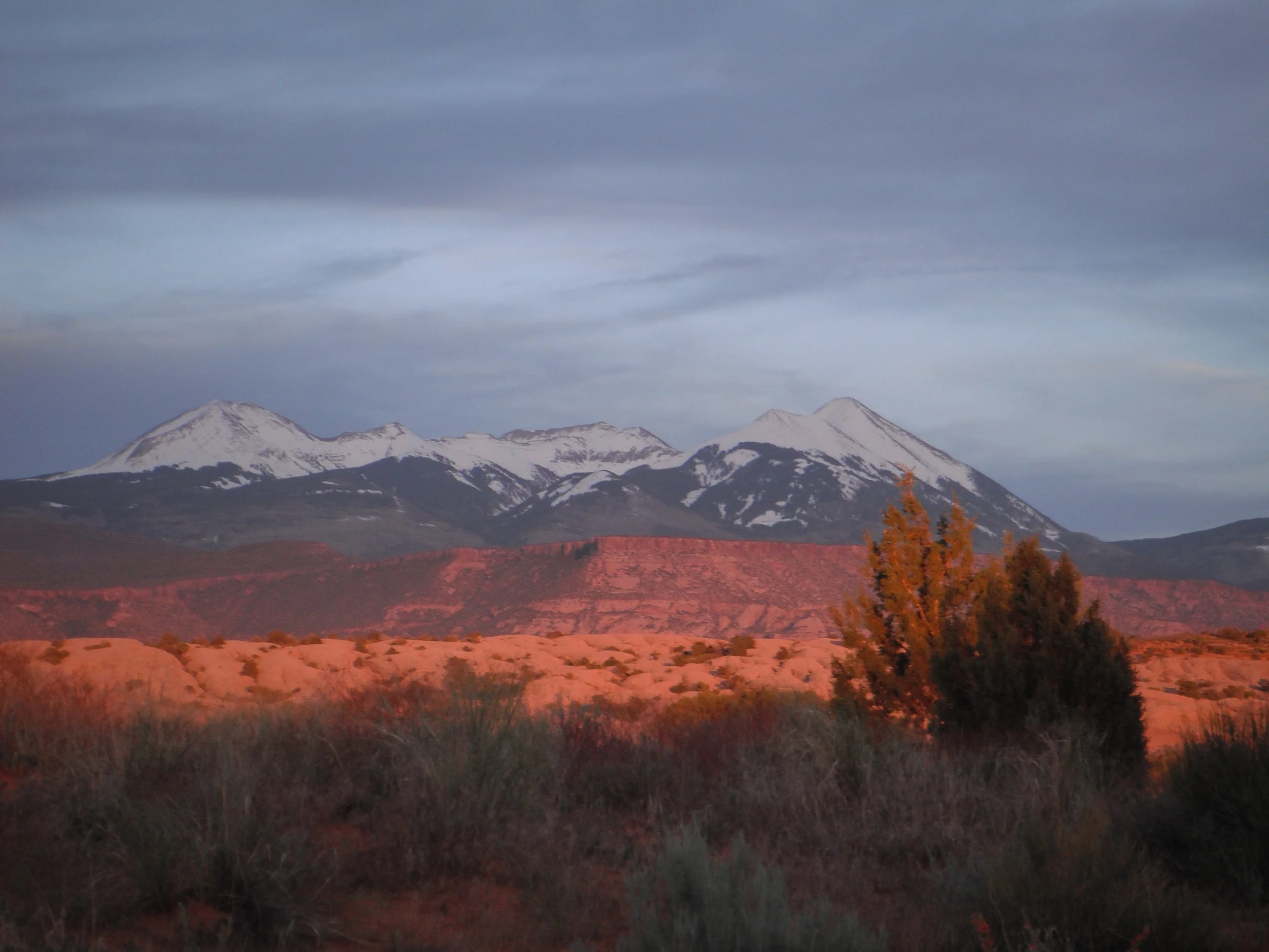 How to Count the Omer Pt. 1: Working with the Psalms 