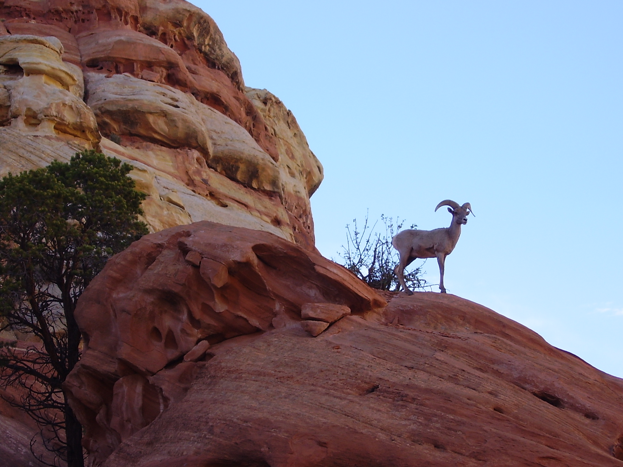 How to Count the Omer Pt. 2: Counting 