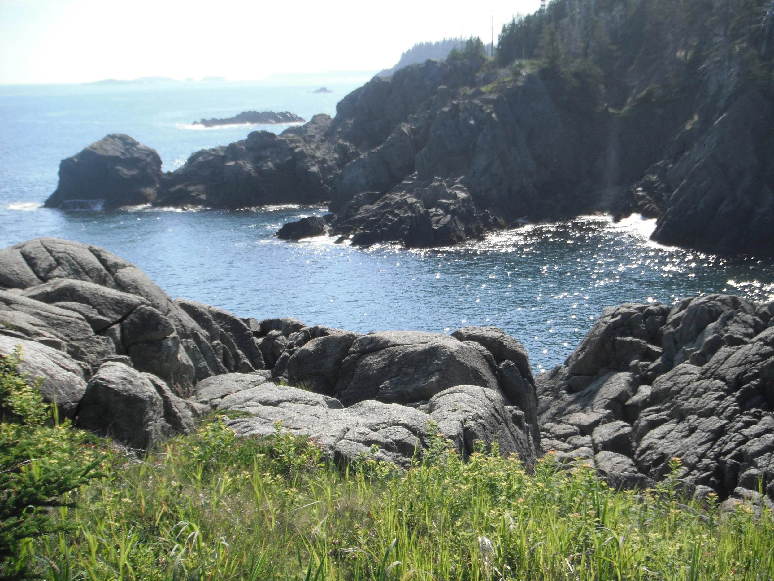 May We Rest in the Beauty of the World Blossoming 