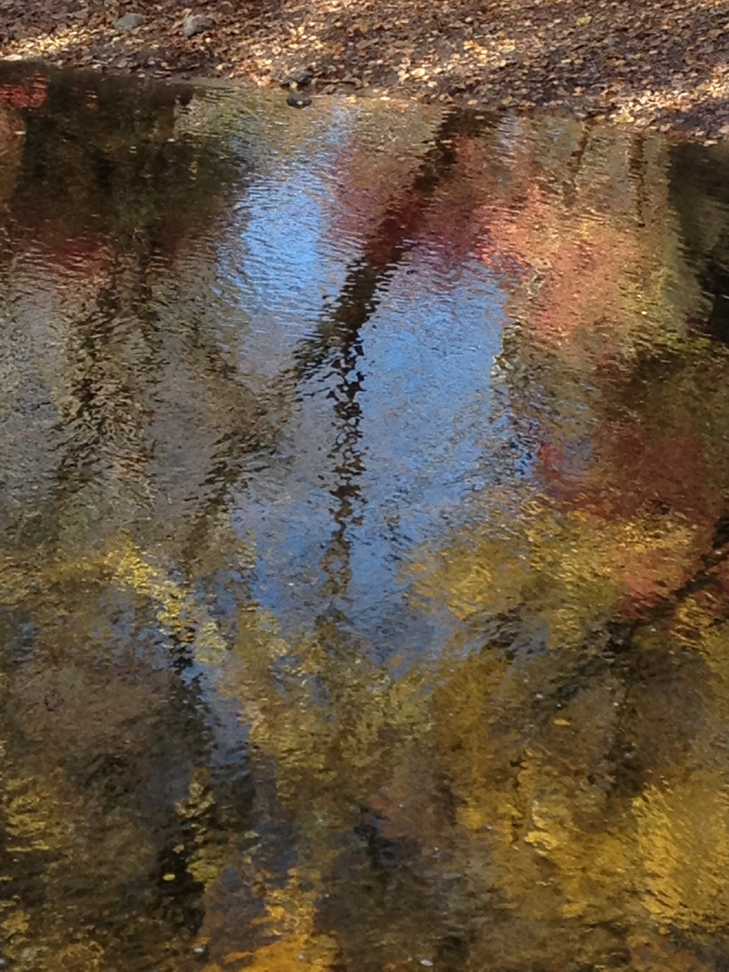 Omer Day 4: Netzach Sh’b Chesed: Eternity within Love