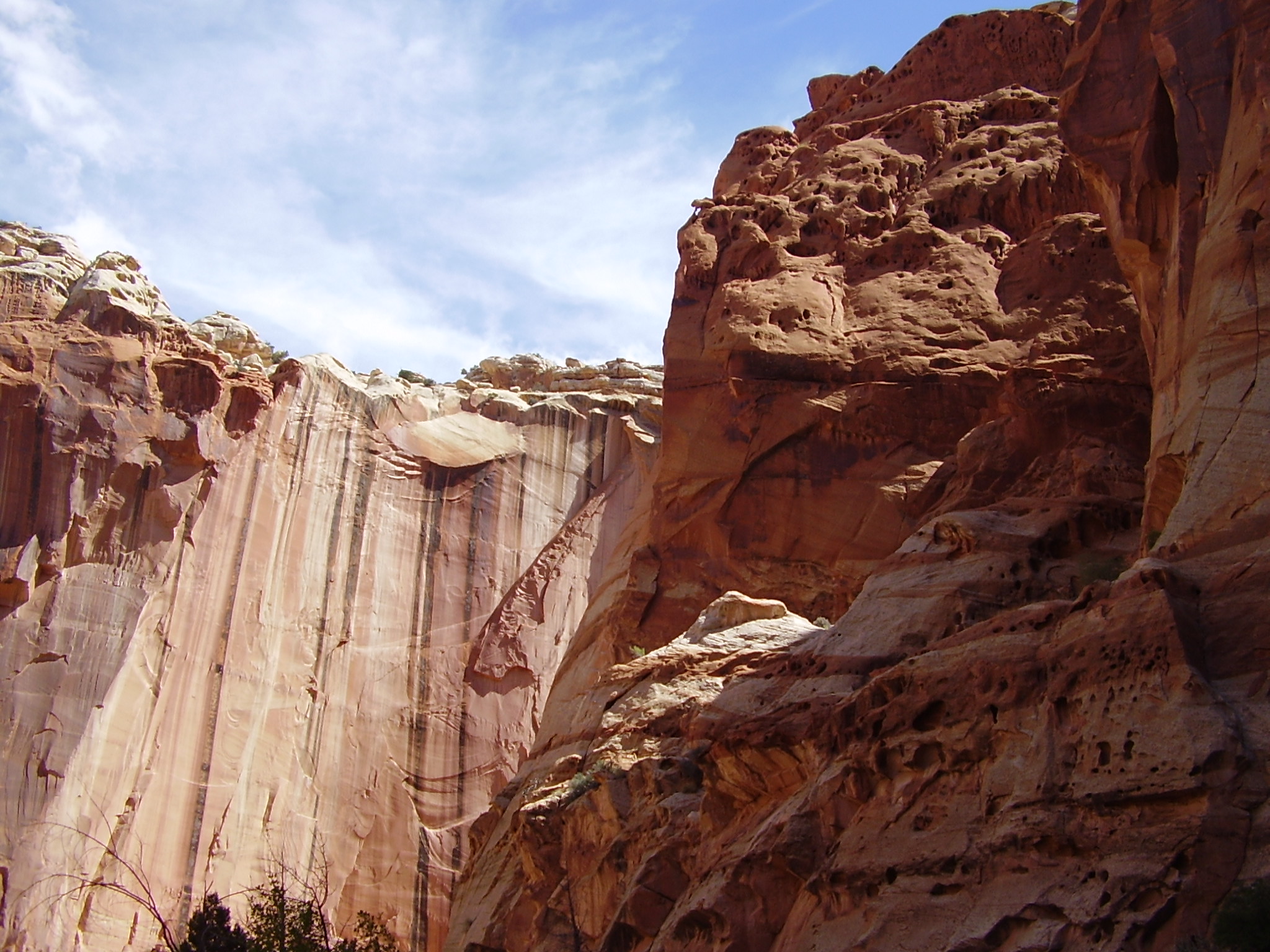 Omer Day 5 - Hod Sh’b Chesed: Presence within Love