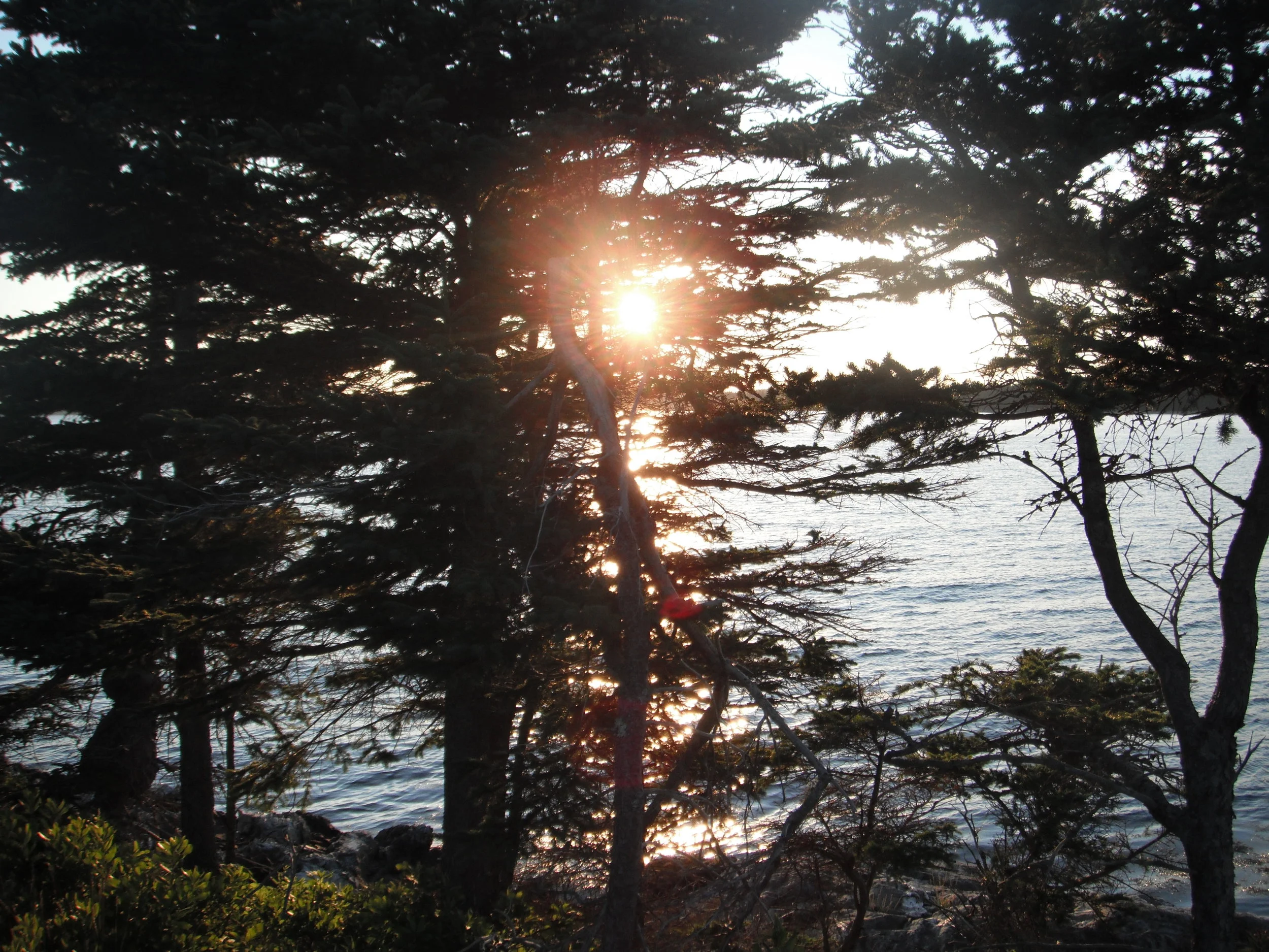 Omer Day 9 - Gevurah Sh’b Gevurah: Strength within Strength 