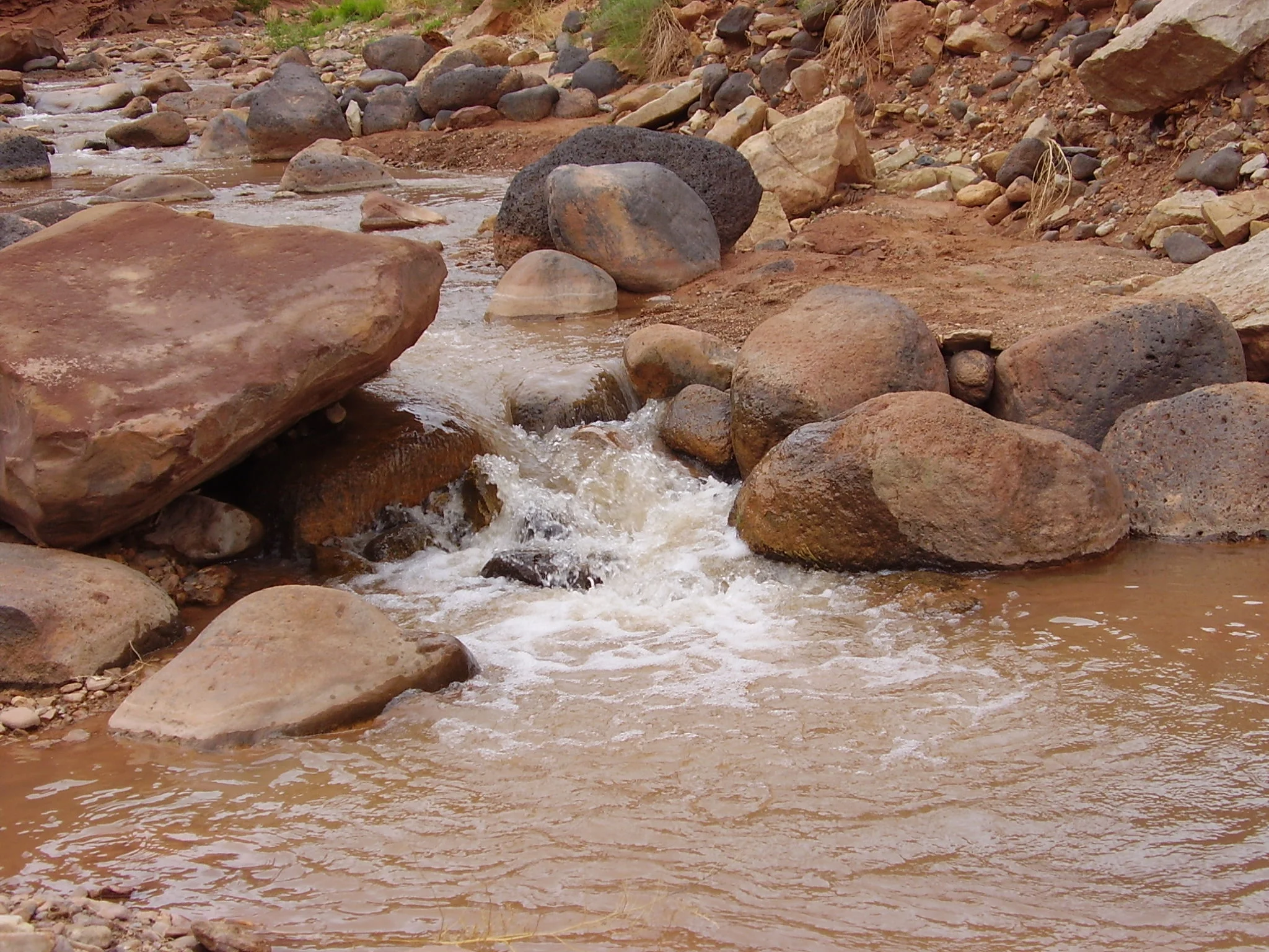 Day 12 - Hod Sh’b Gevurah: Glory within Strength