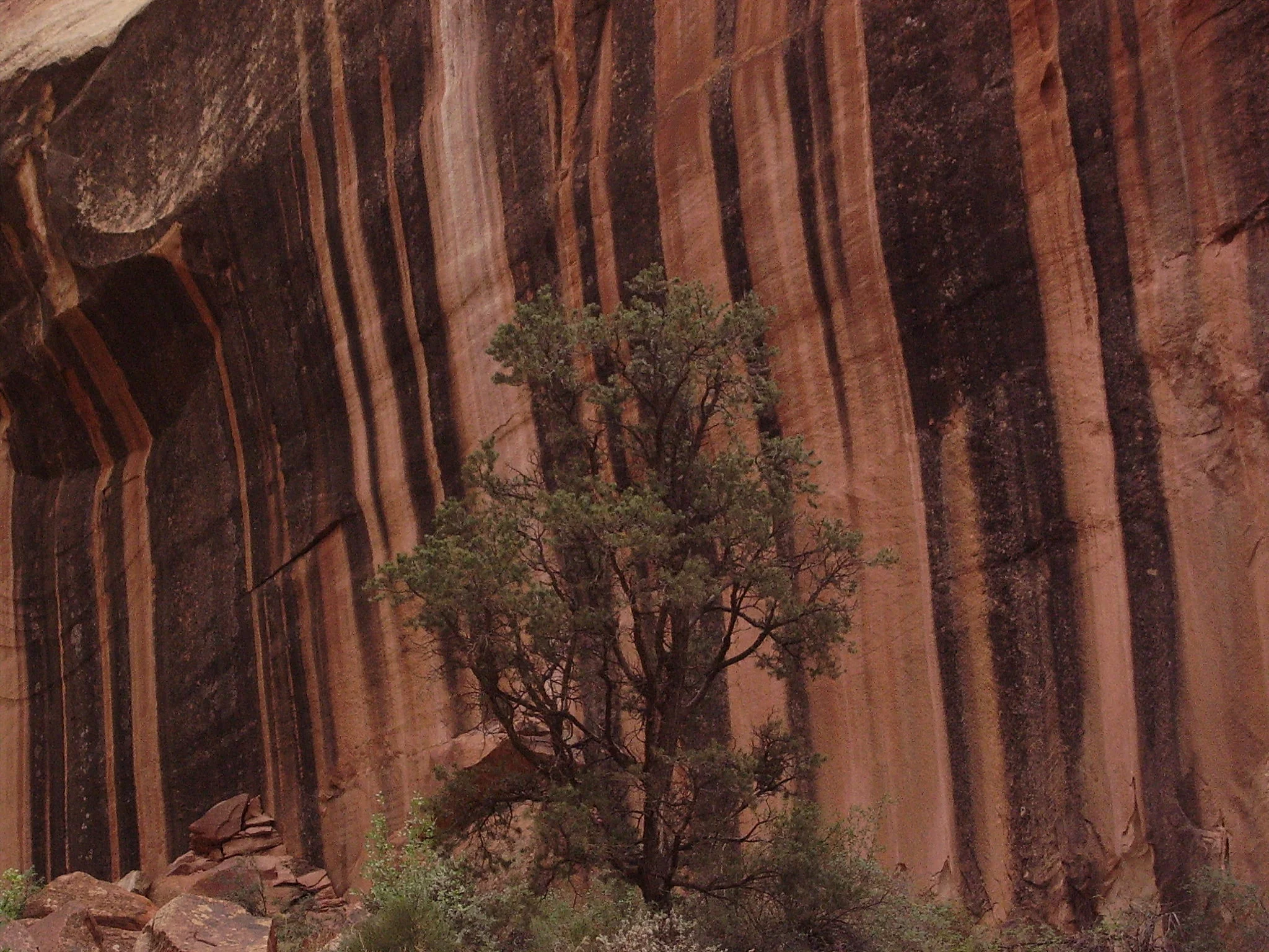 Week of Gevurah: Strength and Vulnerability