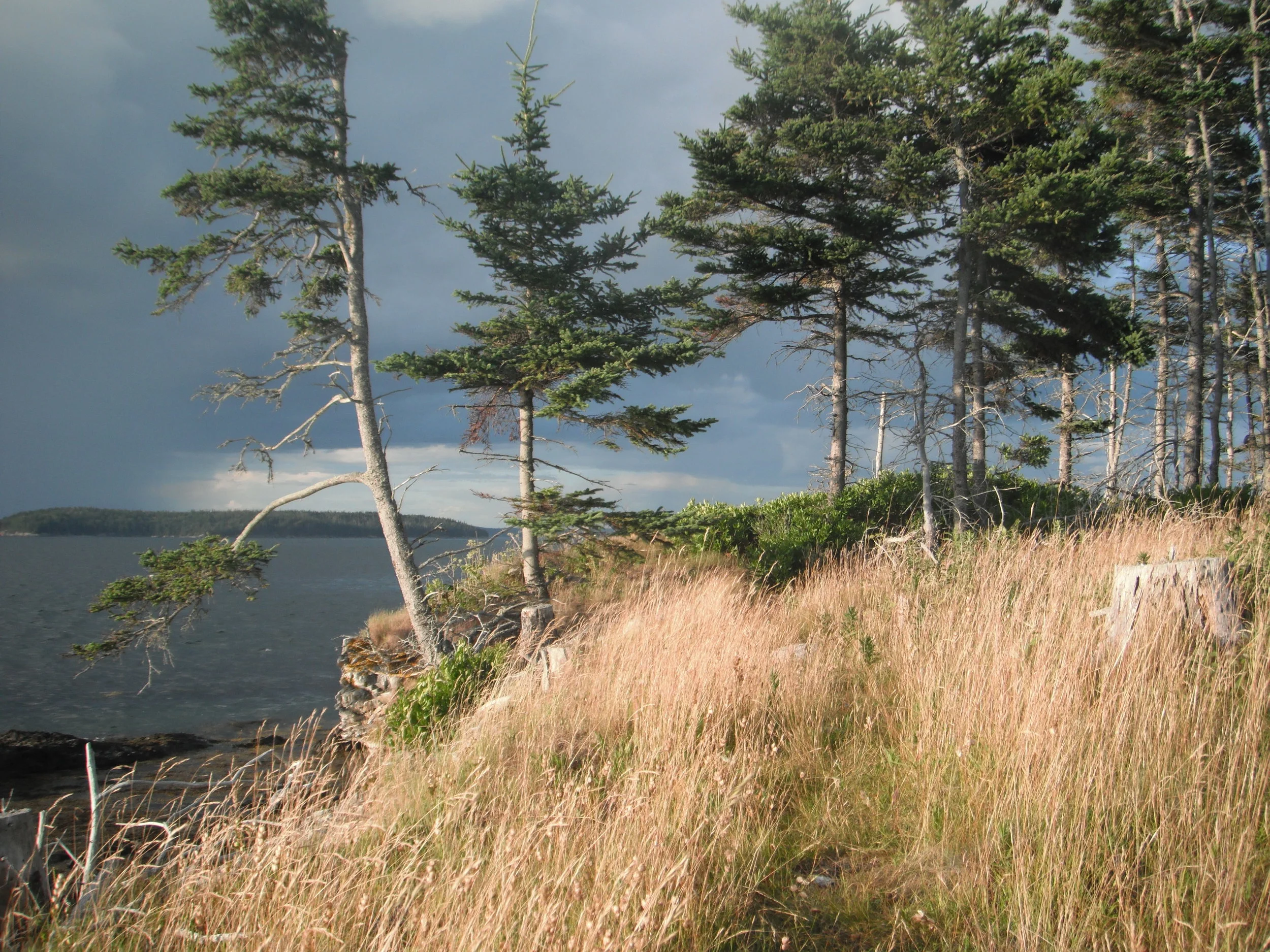 Day 21 - Shechina Sh’b Tiferet: Majesty within Beauty 