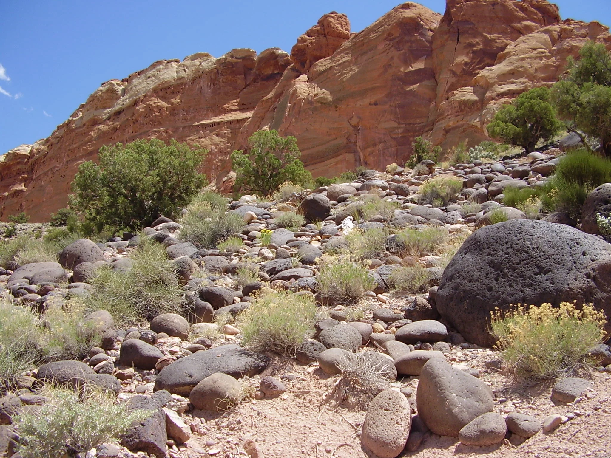 Day 22 - Chesed Sh’b Netzach: Love within Vision 