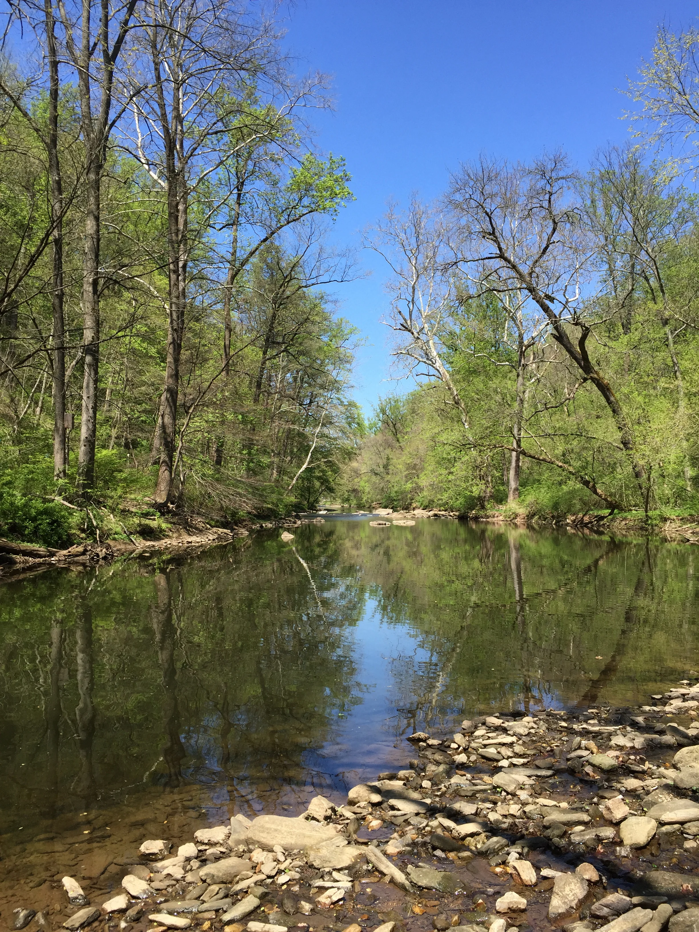 Day 37 - Gevurah Sh’b Yesod: Strength within Connection 