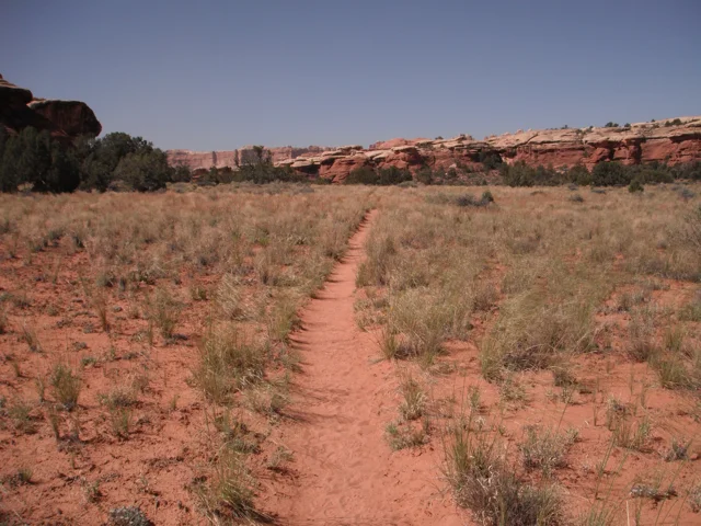 Morning Meditation Sit 05.18.2017