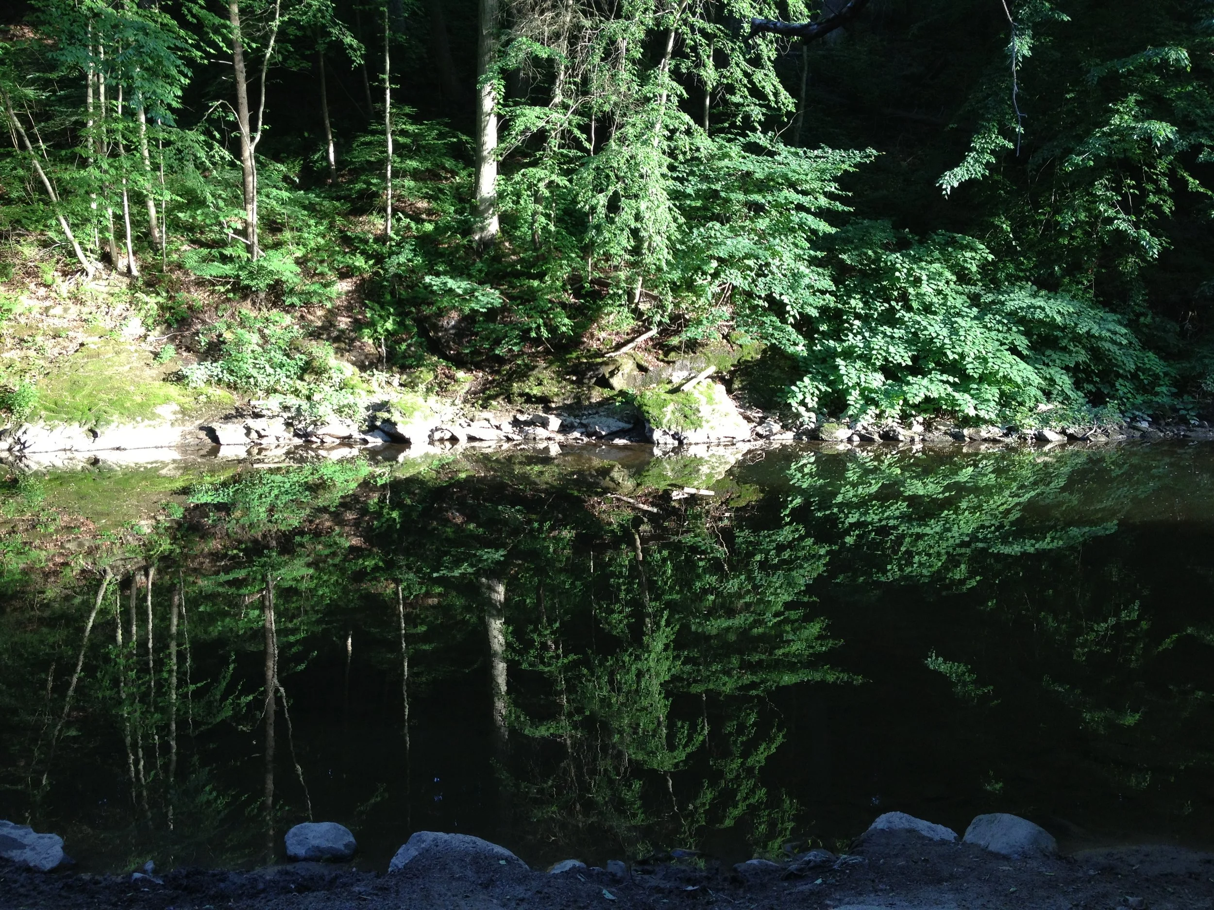 Morning Meditation Sit 2017.05.25 