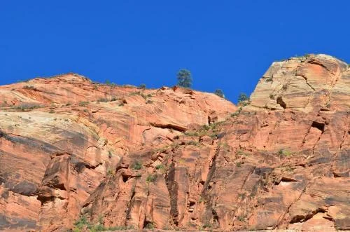 Find Joy and Gladness 