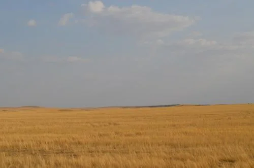 Speak of your Action