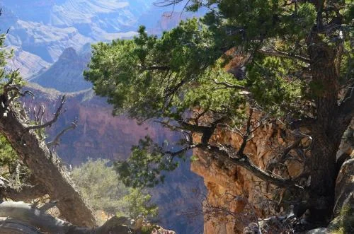 In the Holy Assembly 