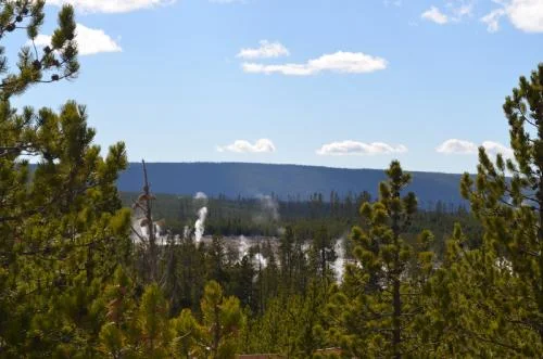 The Joy of Connection 