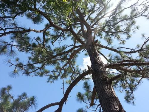 Awake to the Divine Presence