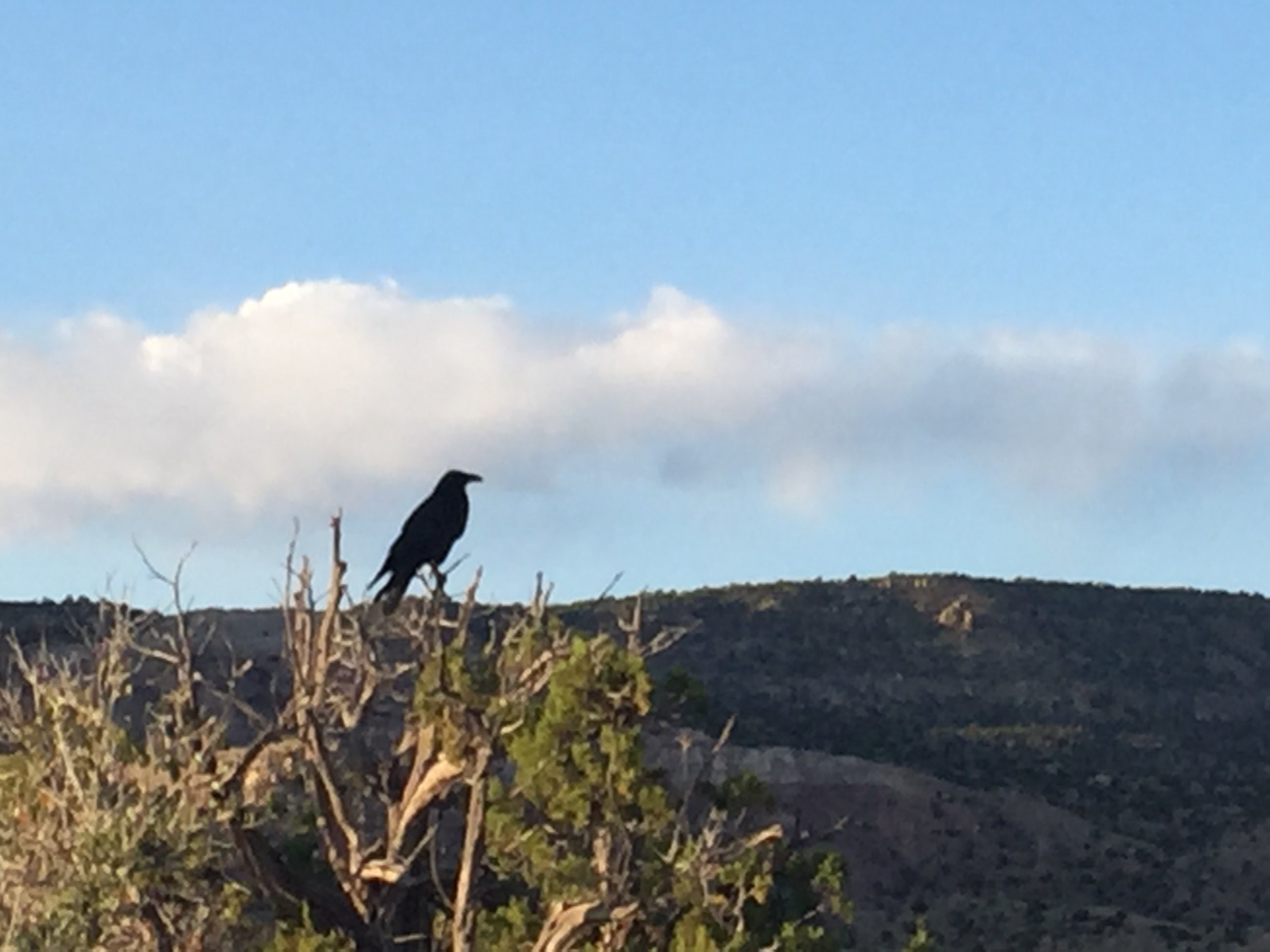 Morning Meditation Sit 2017-08-10