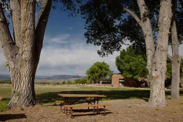 Walk in the Presence 