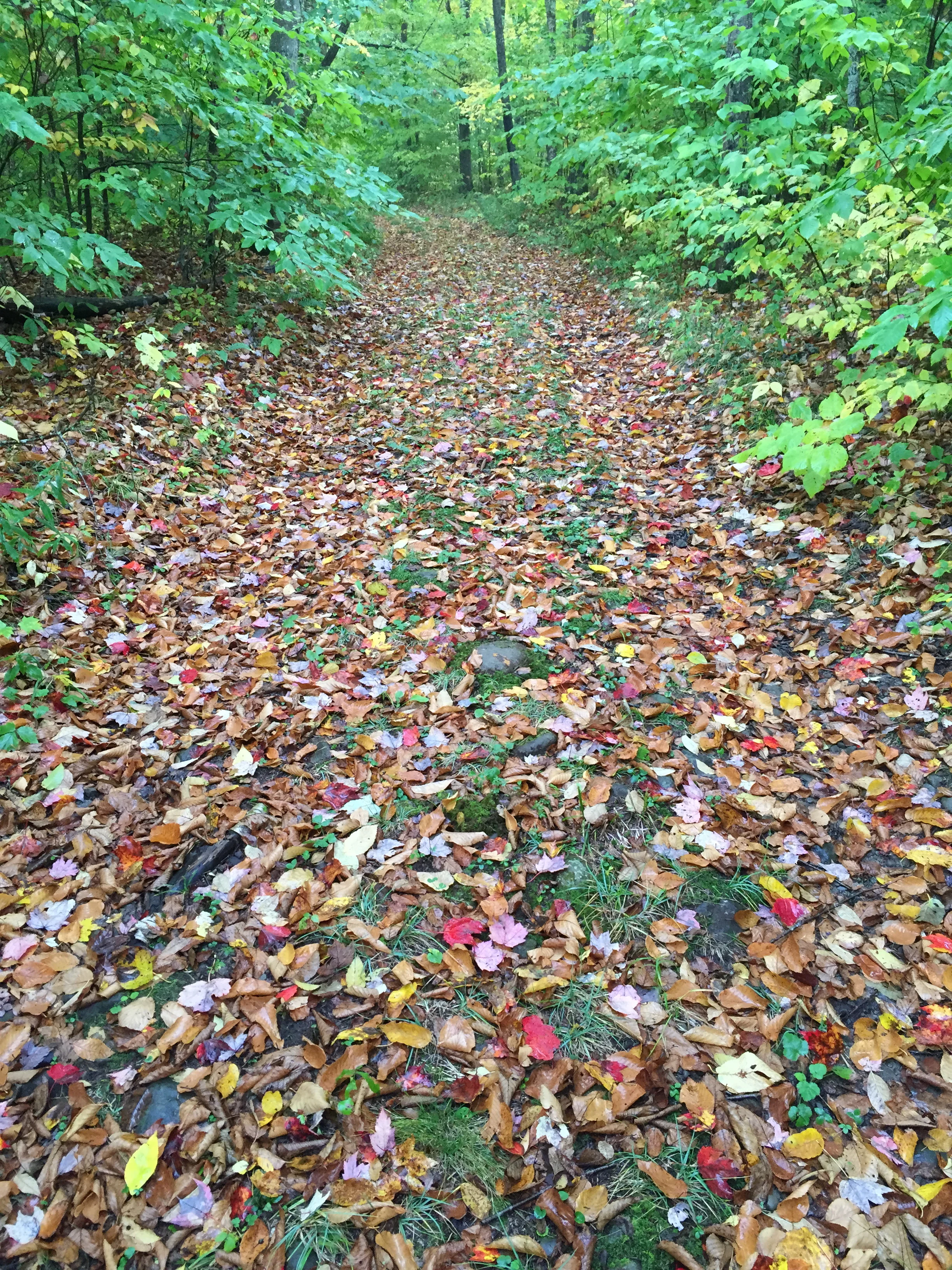 Morning Meditation Sit 2017-09-14