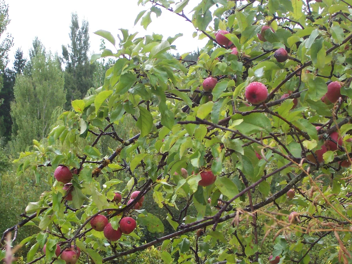 Morning Meditation Sit 2017-10-19 