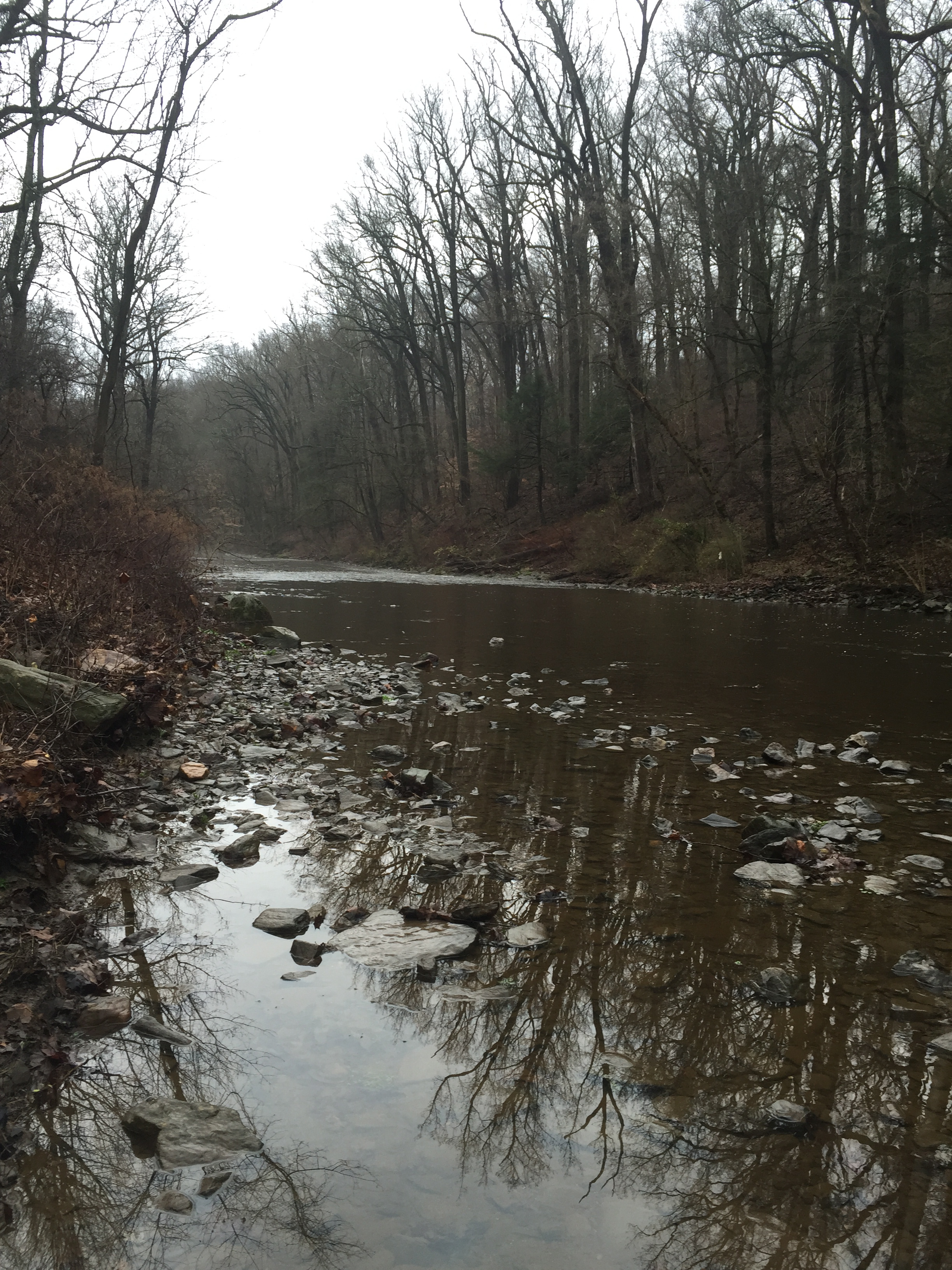 Morning Meditation Sit 2017-10-26