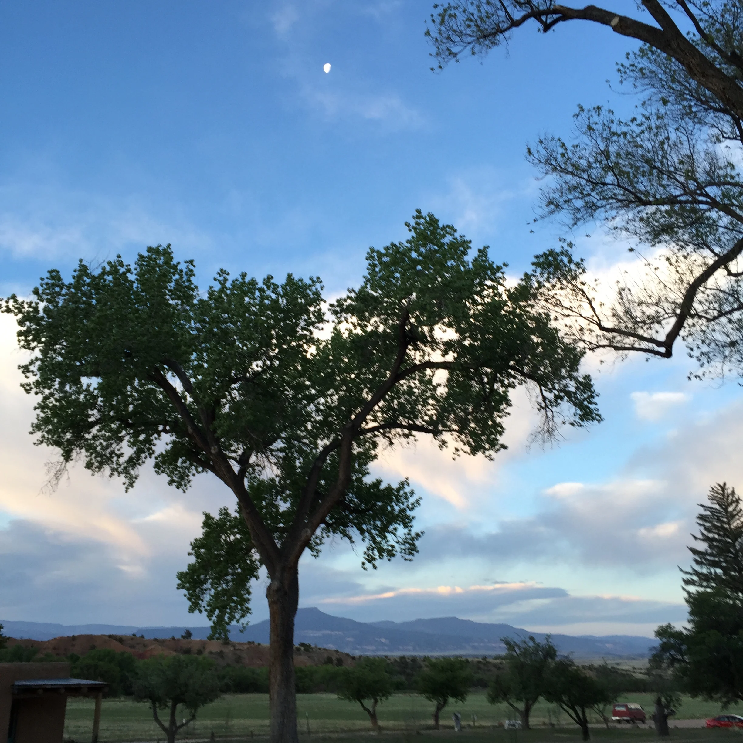 Morning Meditation Sit - 2017-11-23