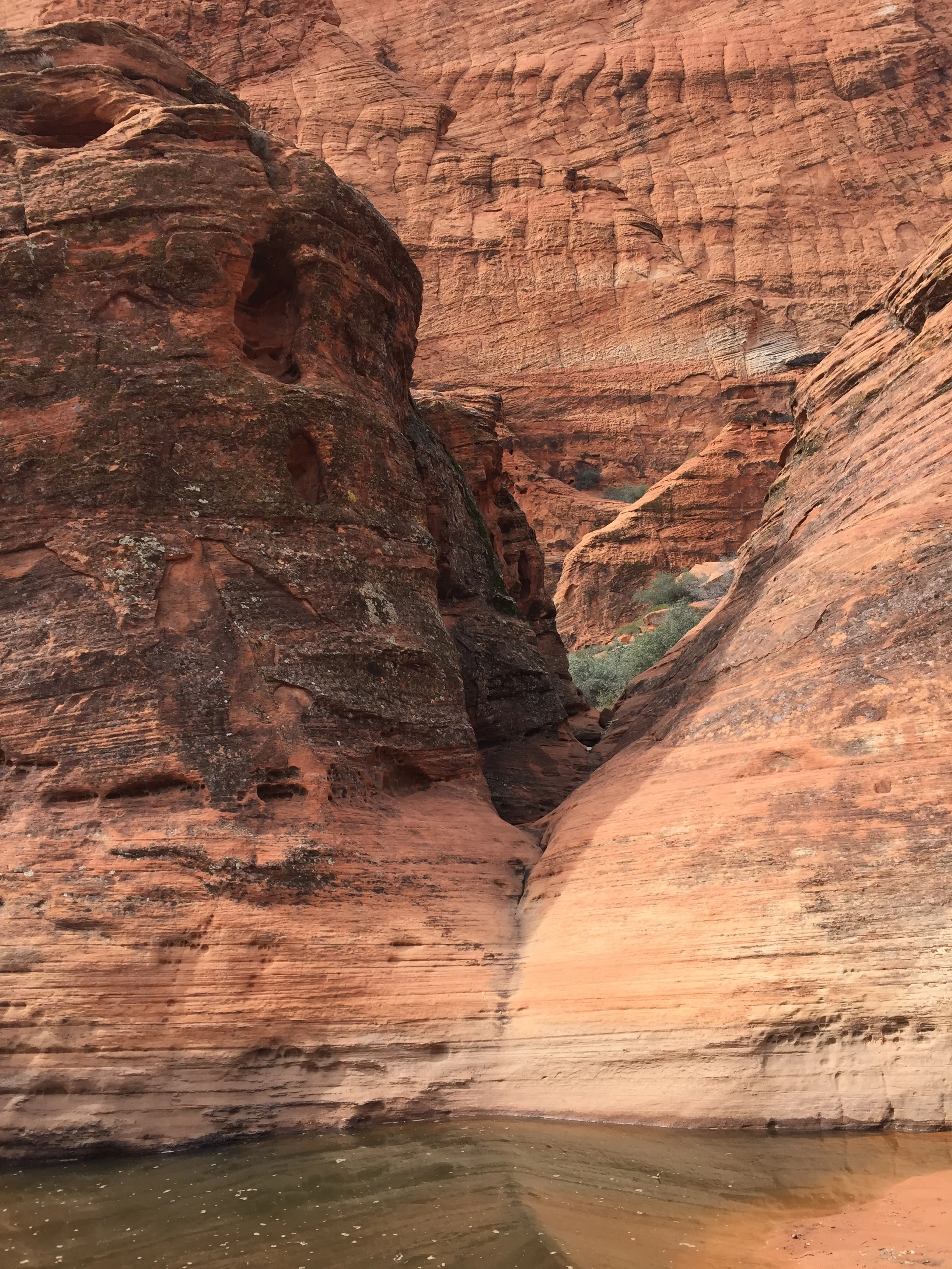 Morning Meditation Sit 2017-11-30