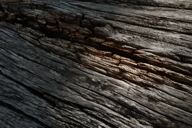 Morning Meditation Sit - 2017-12-07