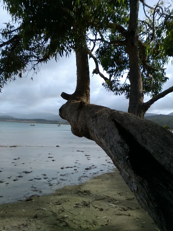 Morning Meditation Sit 2018-01-25