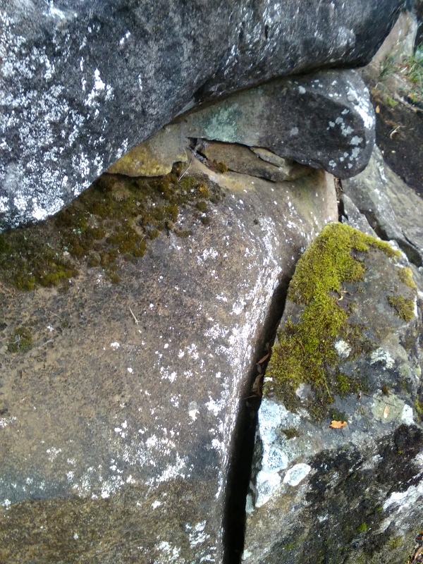 Morning Meditation Sit 2018-02-01