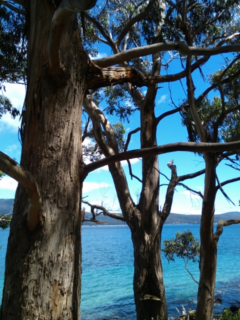 Morning Meditation Sit 2018-02-15