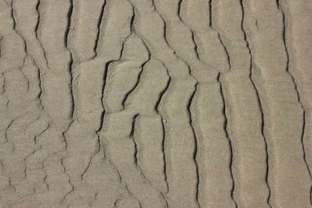 Morning Meditation Sit 2018-02-21