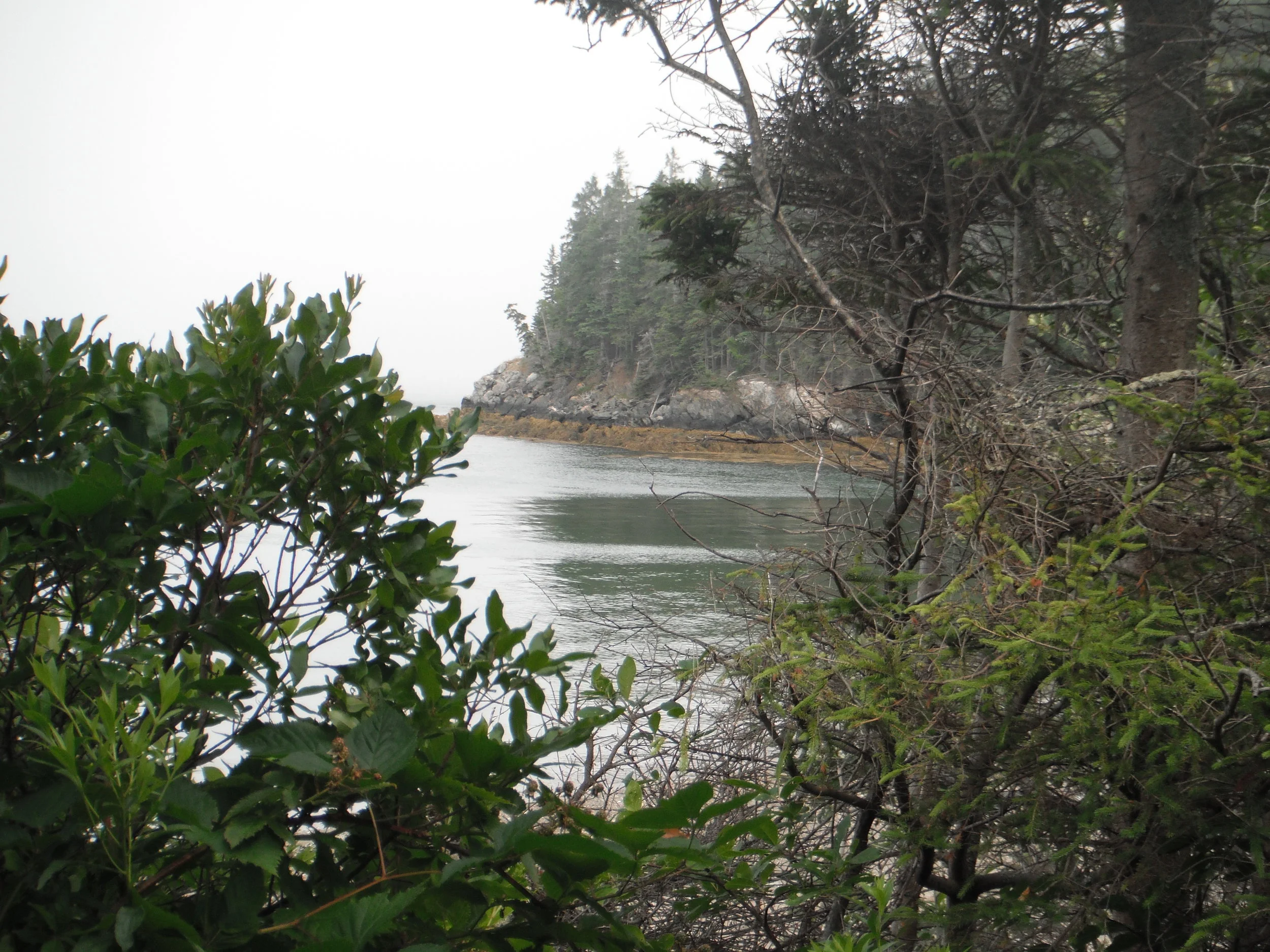 Morning Meditation Sit 2018-03-15