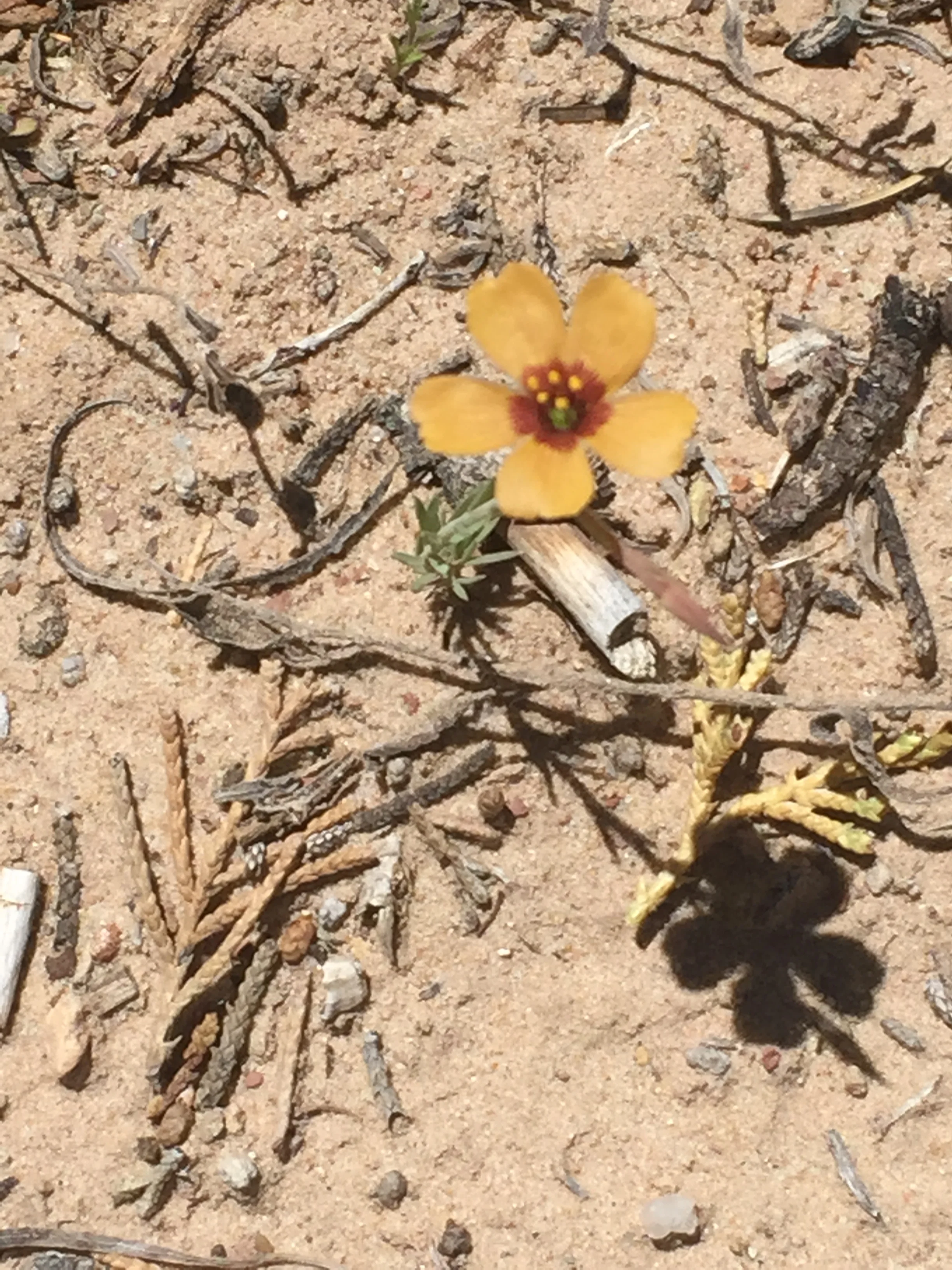 Morning Meditation Sit 2018-04-12