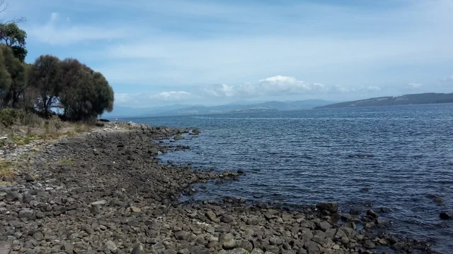 Morning Meditation Sit 2018-04-19