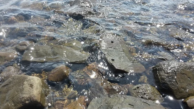 Morning Meditation Sit 2018-04-26