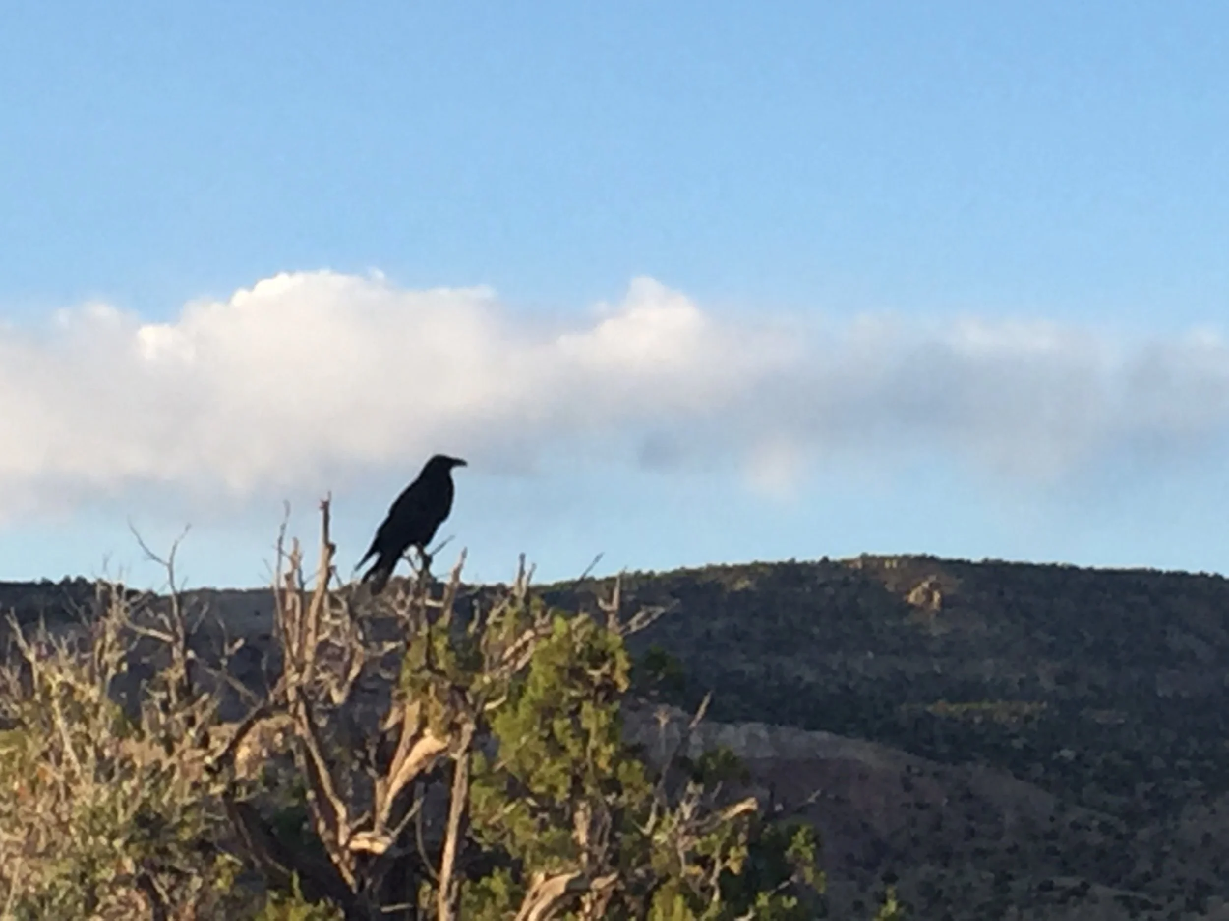 Morning Meditation Sit 2018-05-03 